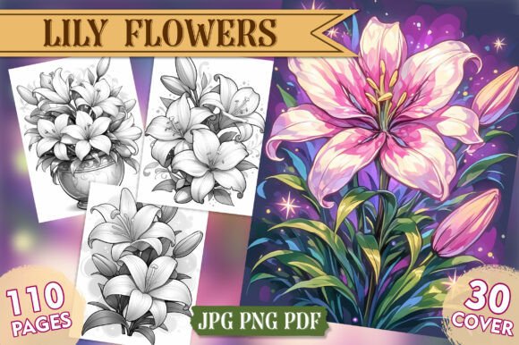 Download Lily Flowers Coloring Pages, Vol- 01 - Premium Resources